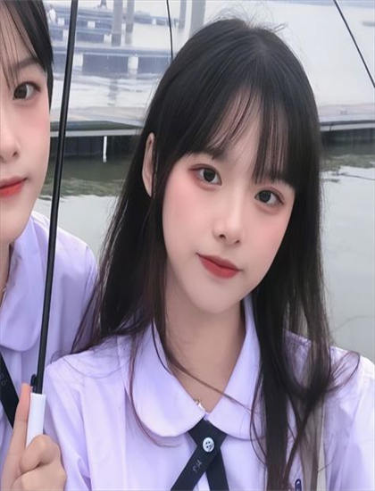 《铠甲勇士酷垒积木大作战 第二季》美学价值个人分析开创性的：艺术美感与审美特征探讨