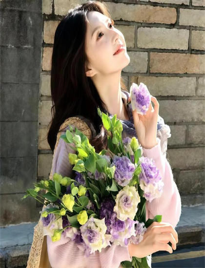 深度探索：月嫂先生网络版的艺术魅力与文化价值——一次全面的艺术分析